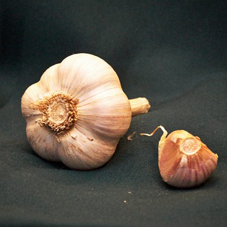 image of music garlic